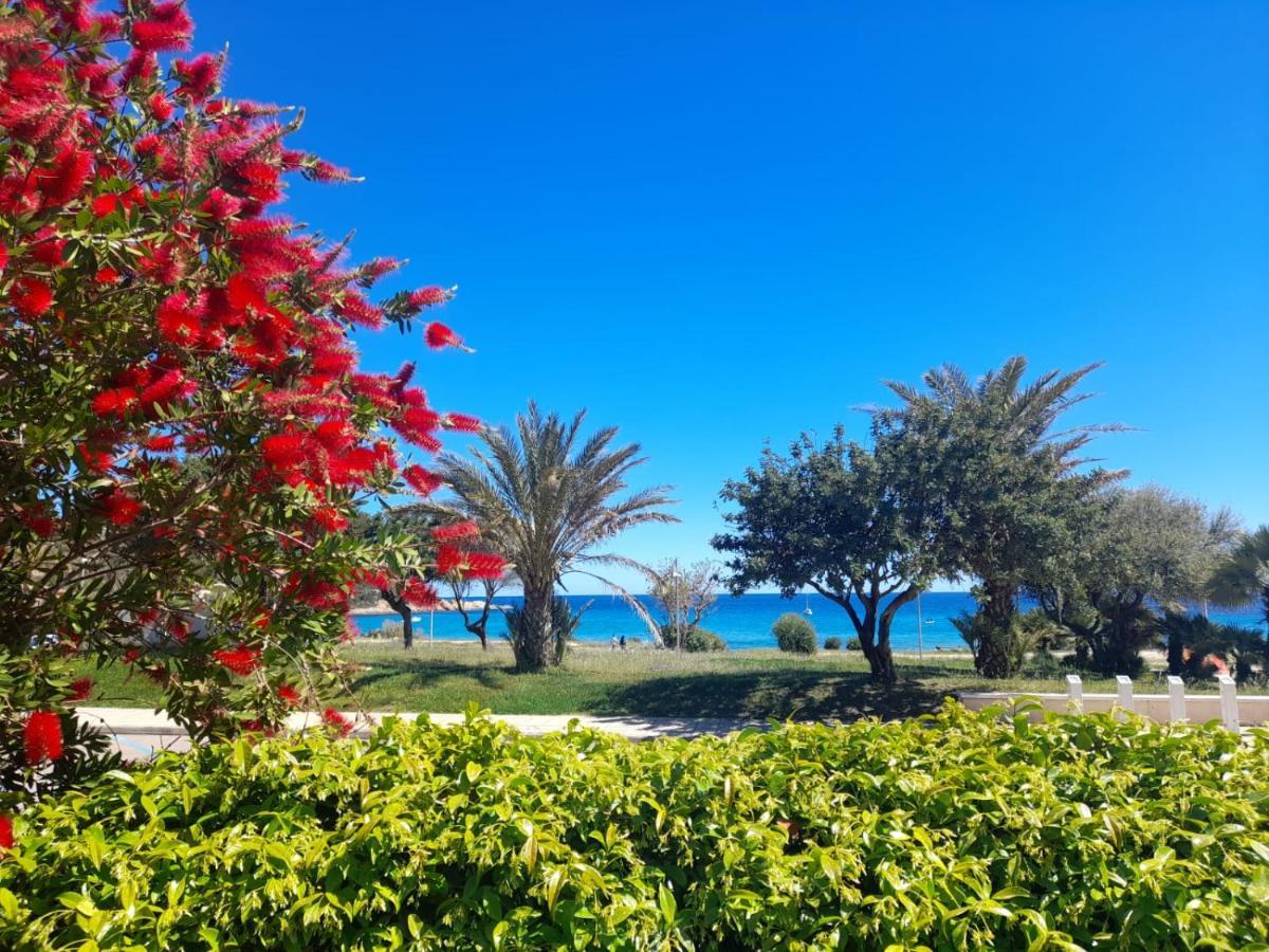 Villa Stella Fronte Mare Porto Frailis Àrbatax Exteriör bild